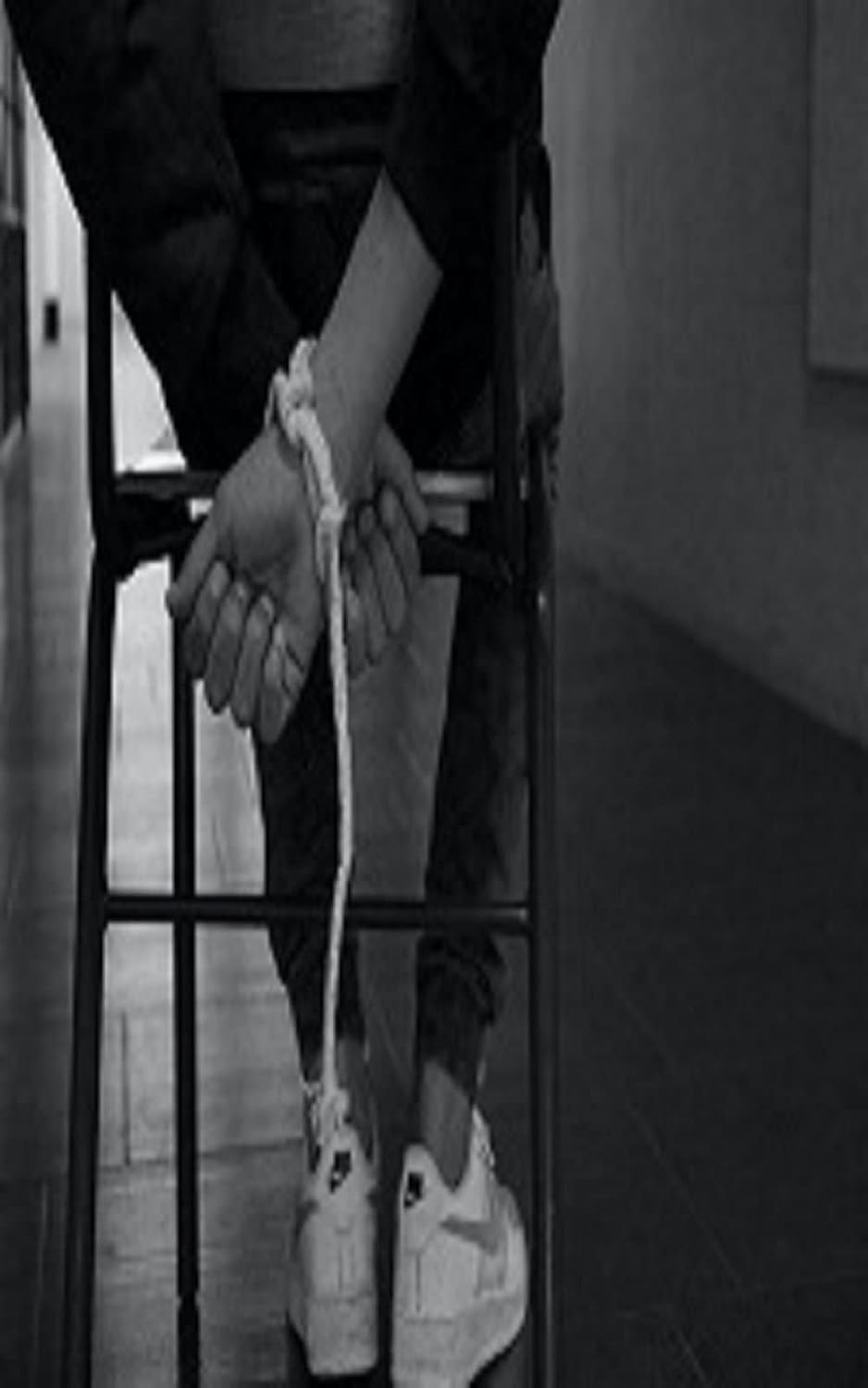 Whitemare Black in America